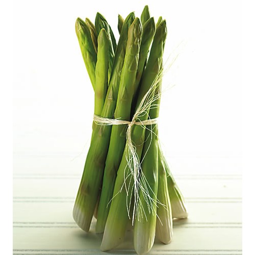 Asparagus (dz)